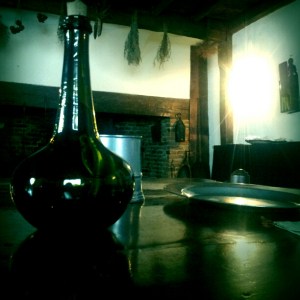 Dreams in the Witch House